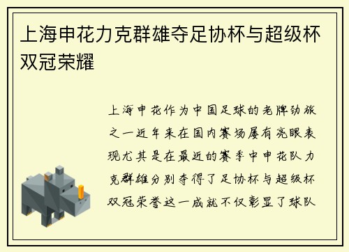 上海申花力克群雄夺足协杯与超级杯双冠荣耀